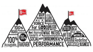 B-Corp-Become-One-and-Make-a-Global-Difference-Rubicon-Global-blog